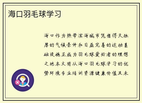 海口羽毛球学习